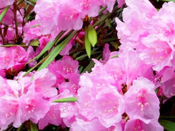 学童農園　山びこの丘