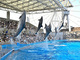 名古屋港水族館