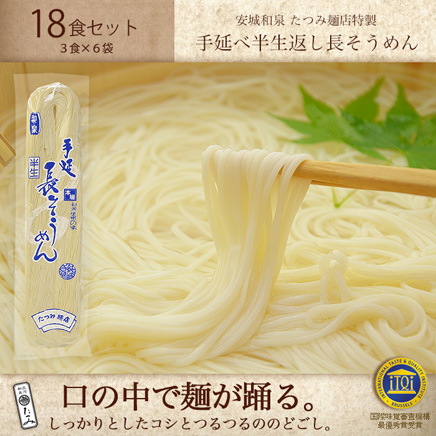 有限会社たつみ麺店