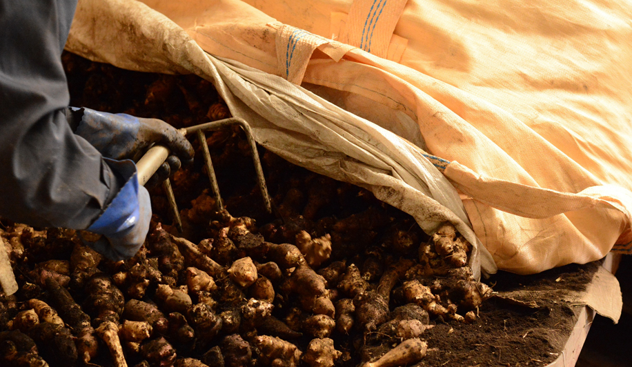 株式会社丸加醸造場