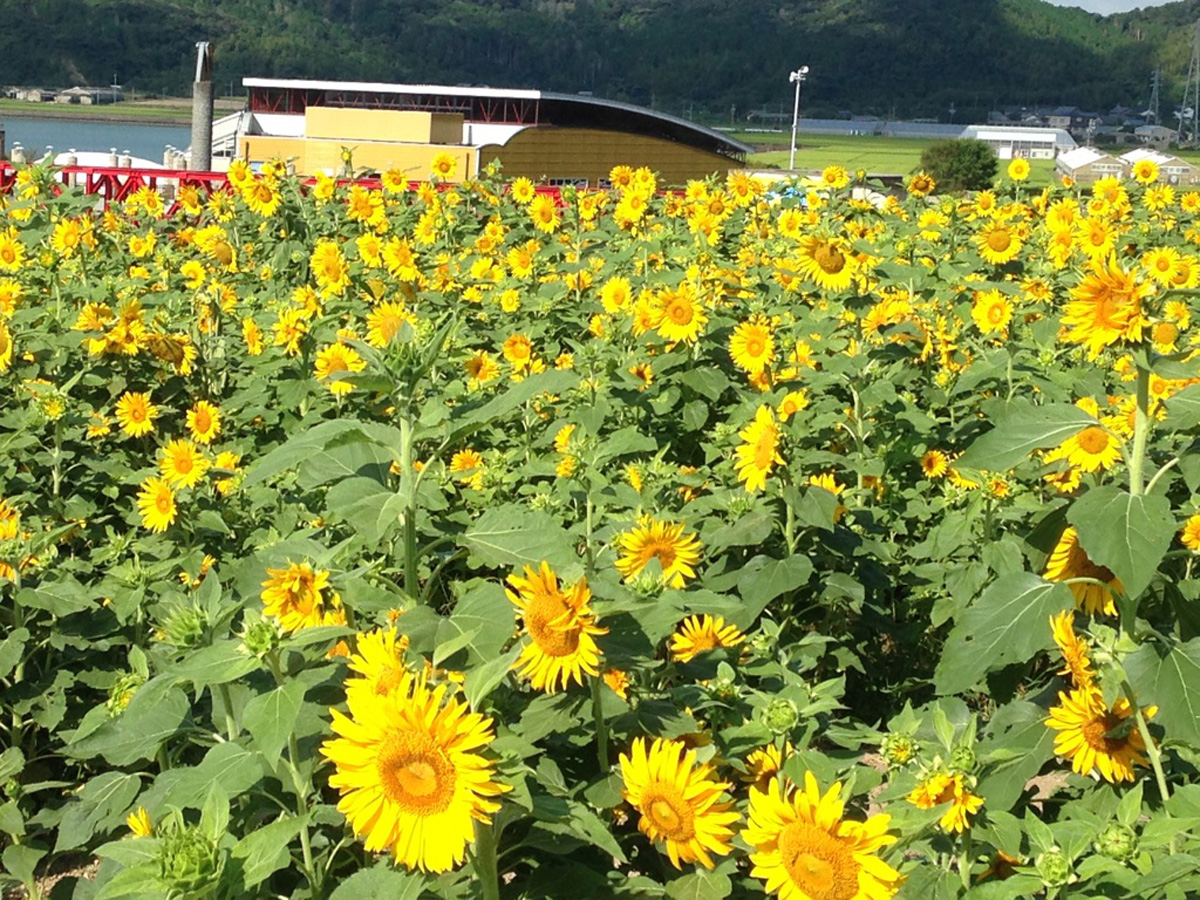 サンテパルクたはら