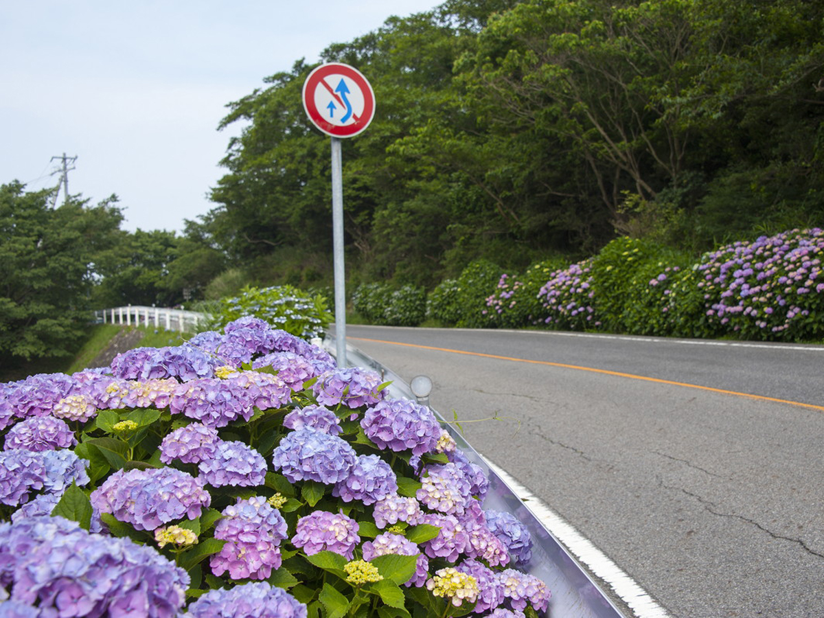 Mt. Sangane Skyline / Mikawa Bay Skyline