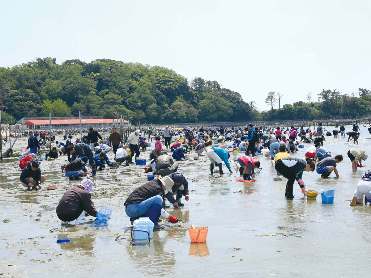 東はず海岸・前島　潮干狩り