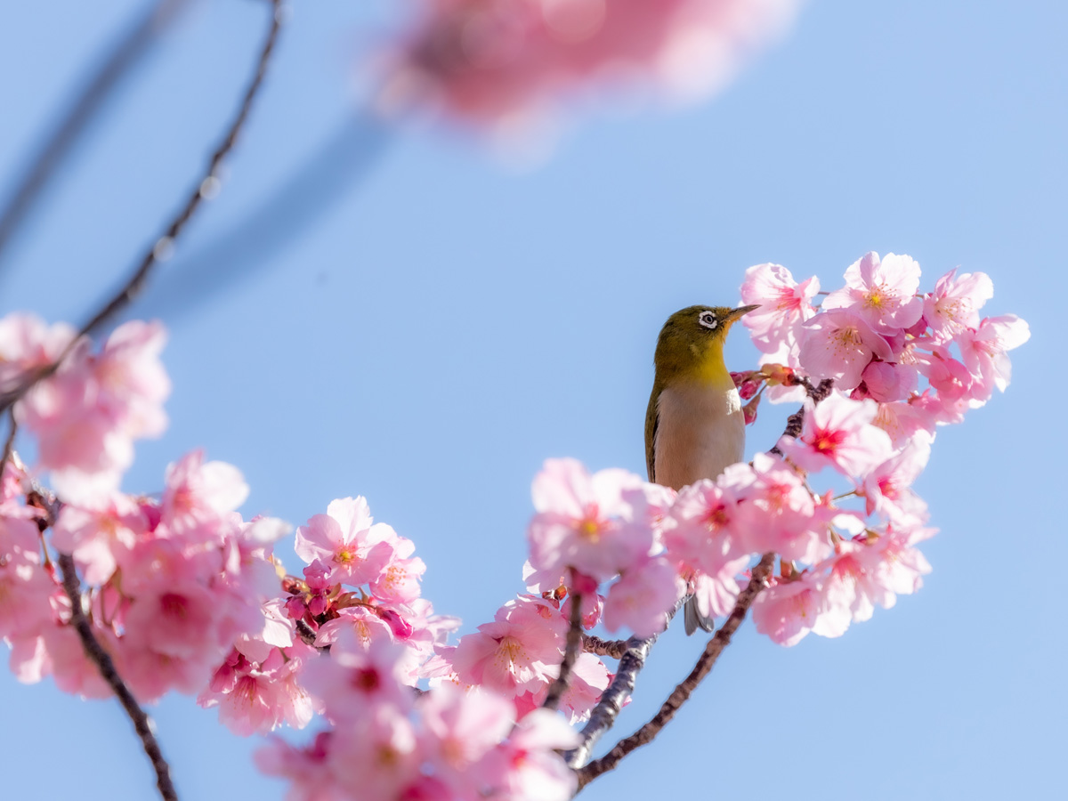 大府みどり公園