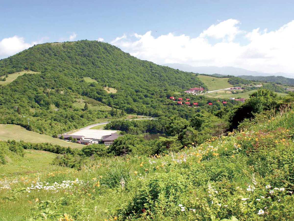 春の茶臼山高原
