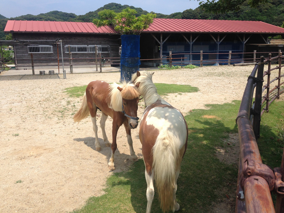 サンテパルクたはら