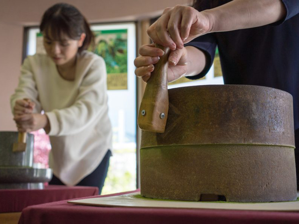 五感で堪能する抹茶の世界、心安らぐちょっと大人の「抹茶街道」
