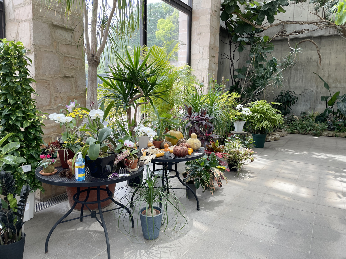 Hisaya-Odori Garden Flarie