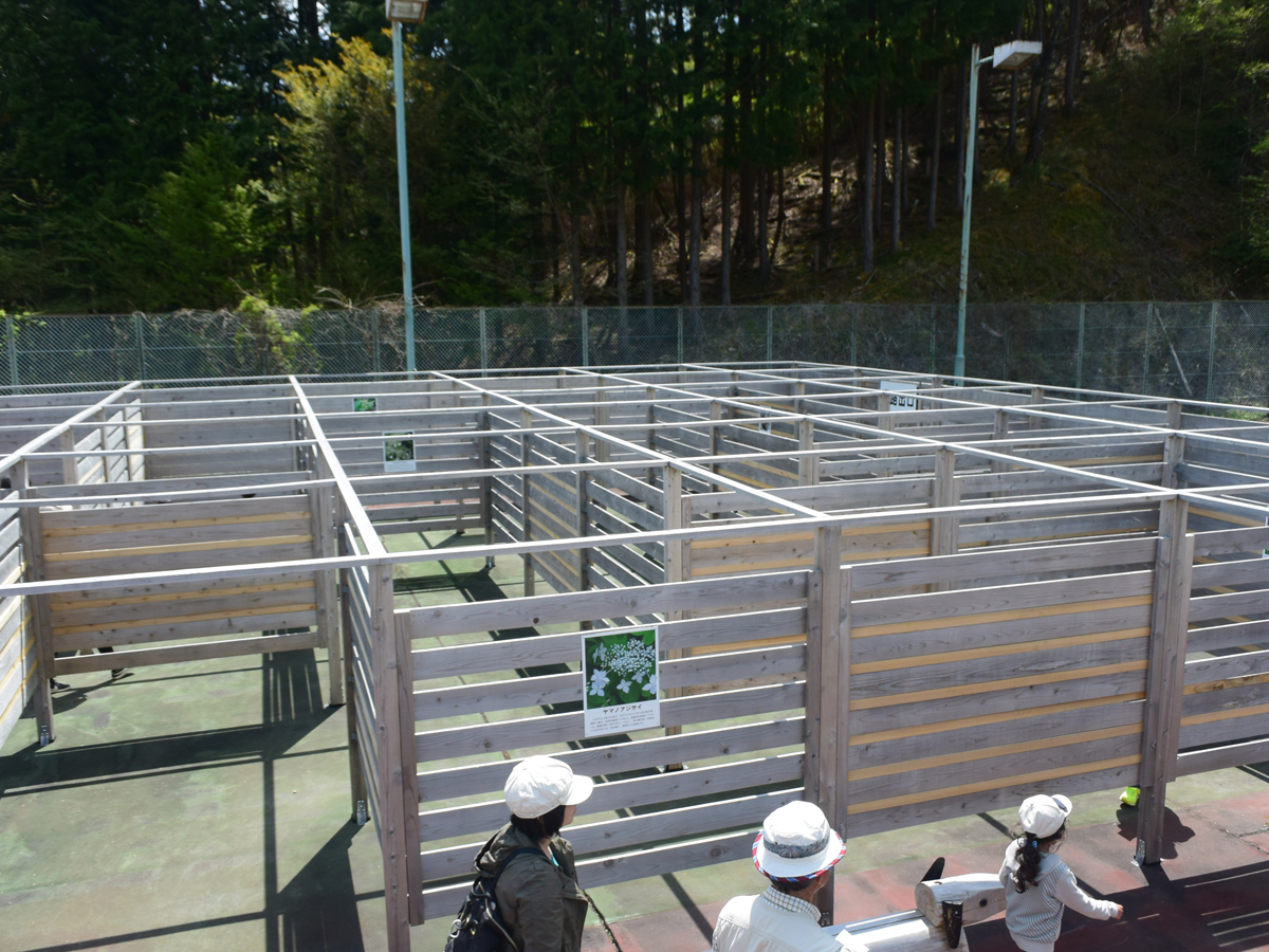 グリーンステージ花の木