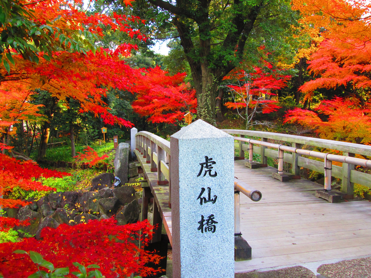 錦を纏う　徳川園紅葉祭