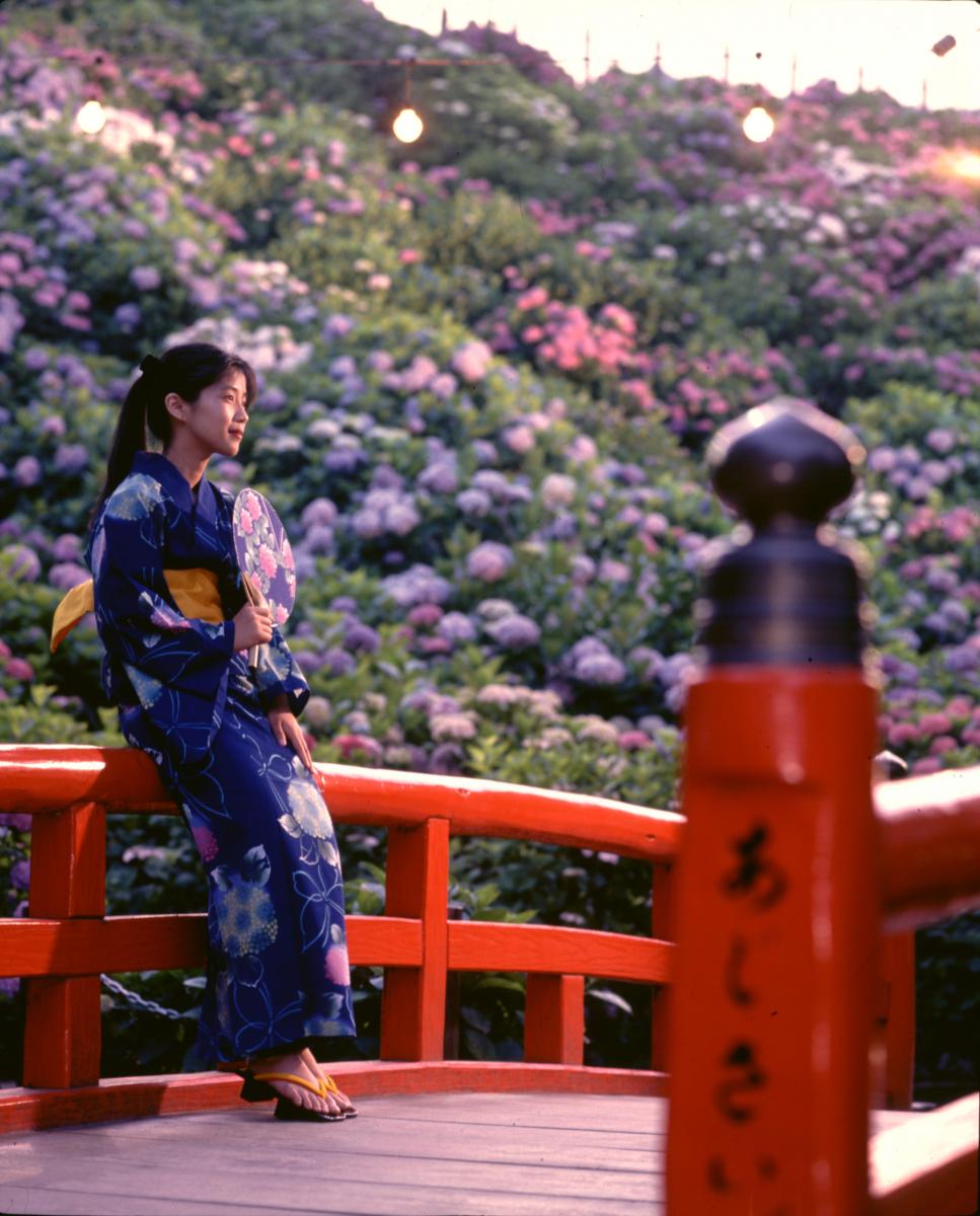 形原溫泉紫陽花節