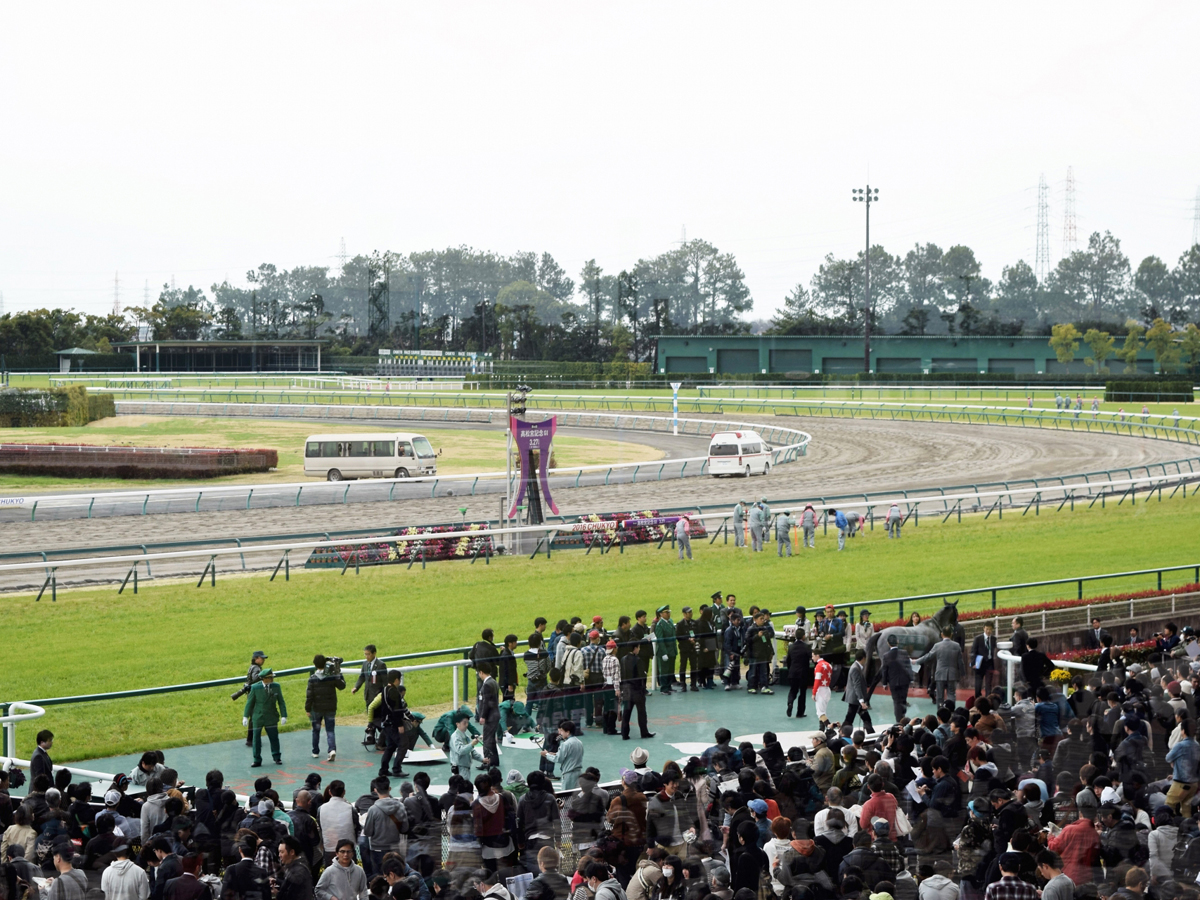 中京競馬場
