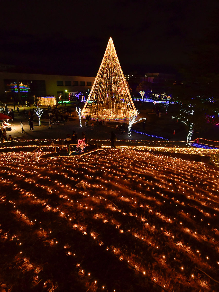 Chiryu Dream Light Display