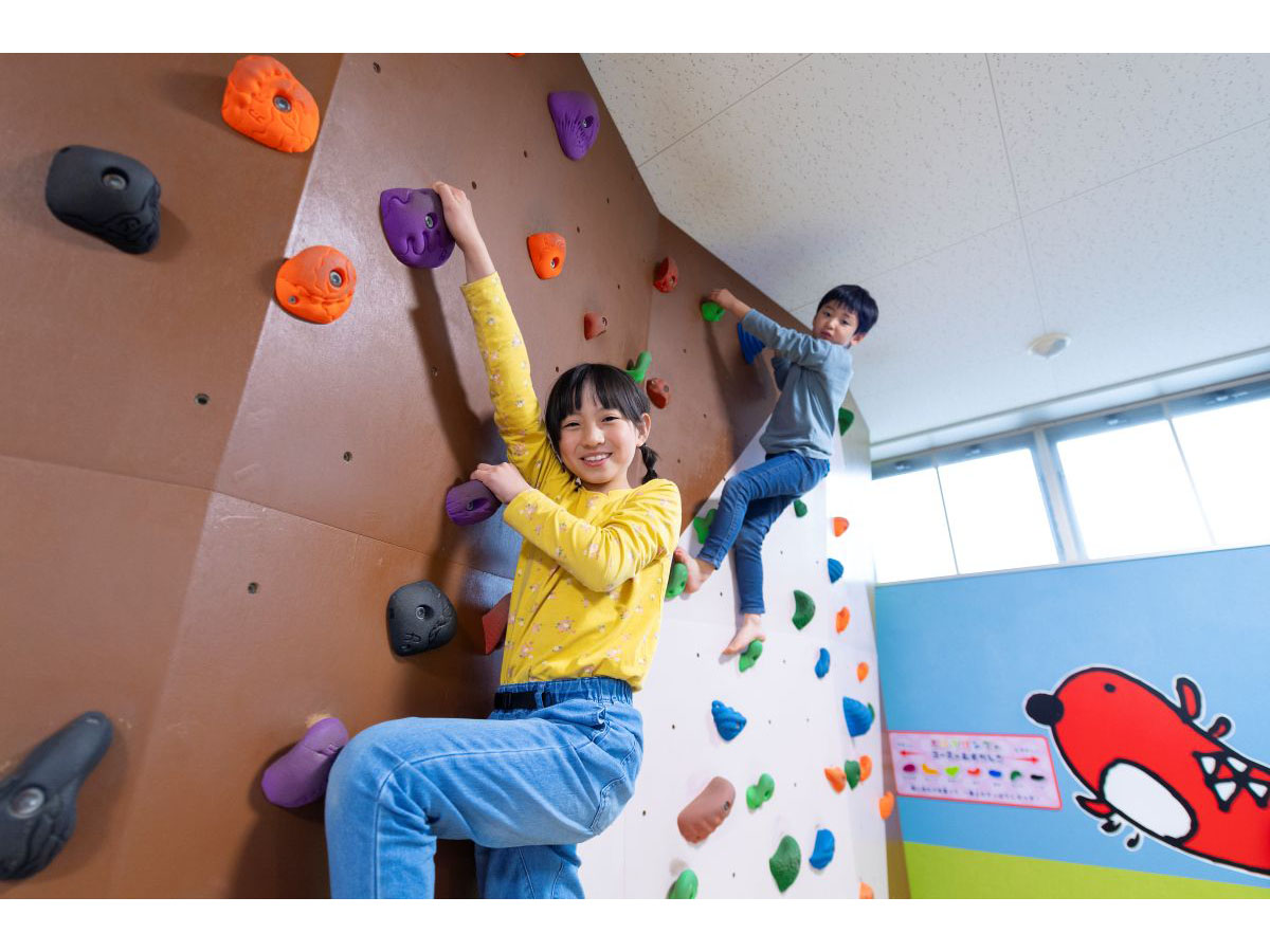 つぶつぶランド