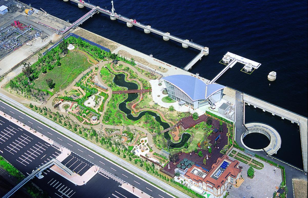 名古屋港野花花园 Blue Bonnet