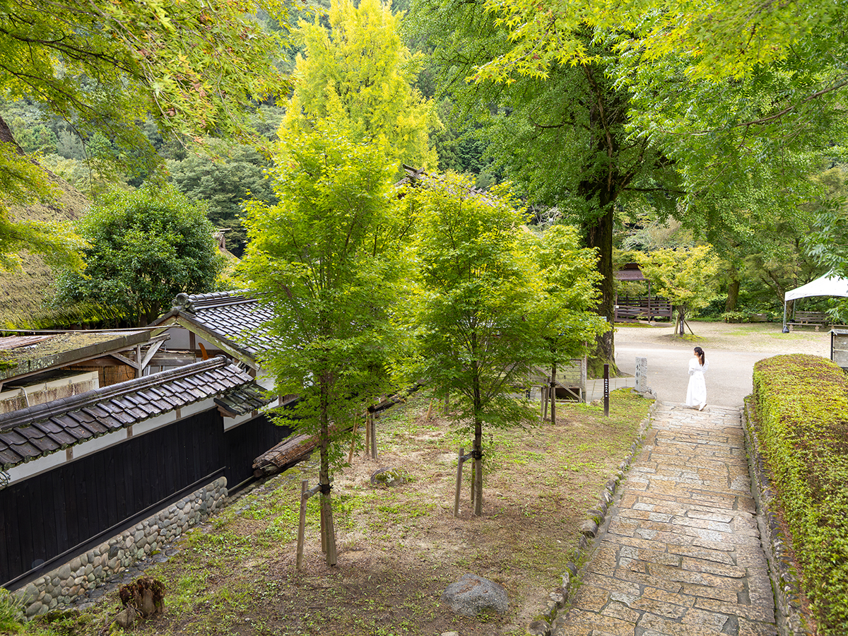 Sanshu Asuke Yashiki Living Museum