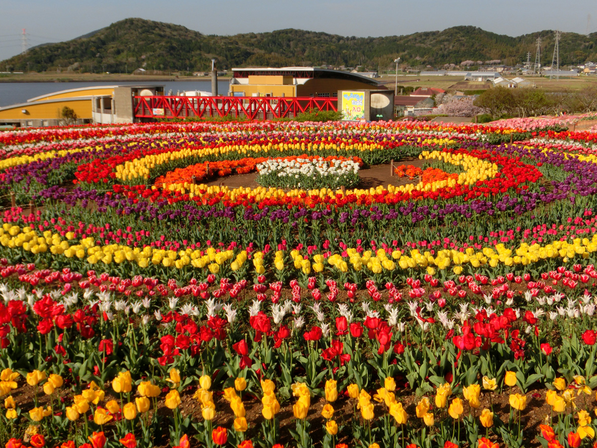 サンテパルクたはら