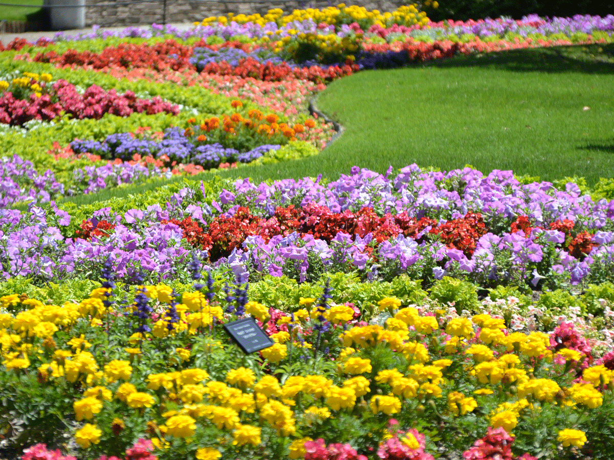 Denpark Flower Festival