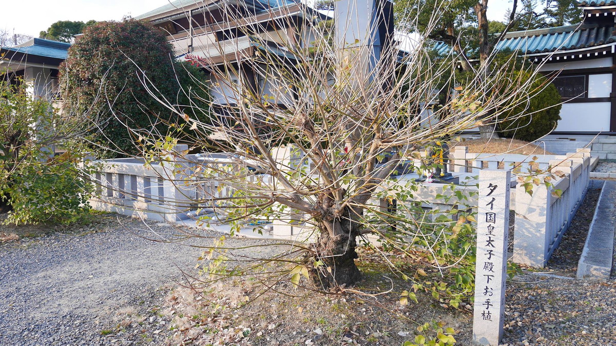 Nittaiji Temple (Kakuozan)