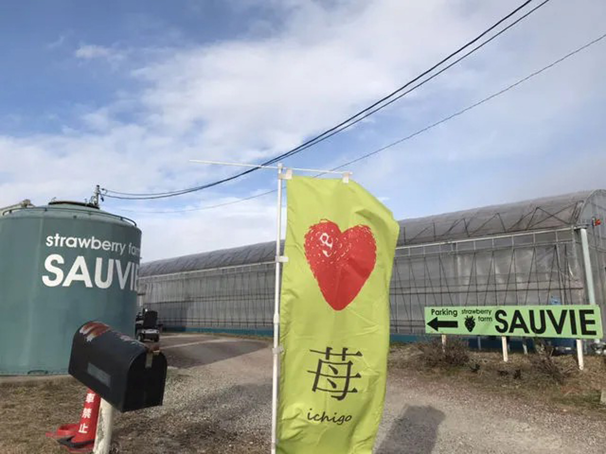 ストロベリーファーム ソービー