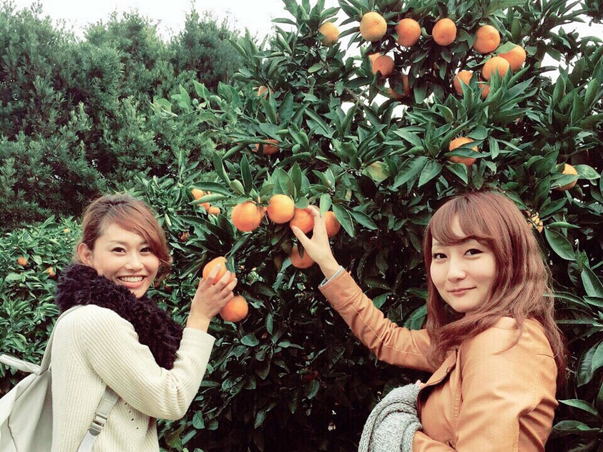 Minamichita Green Valley