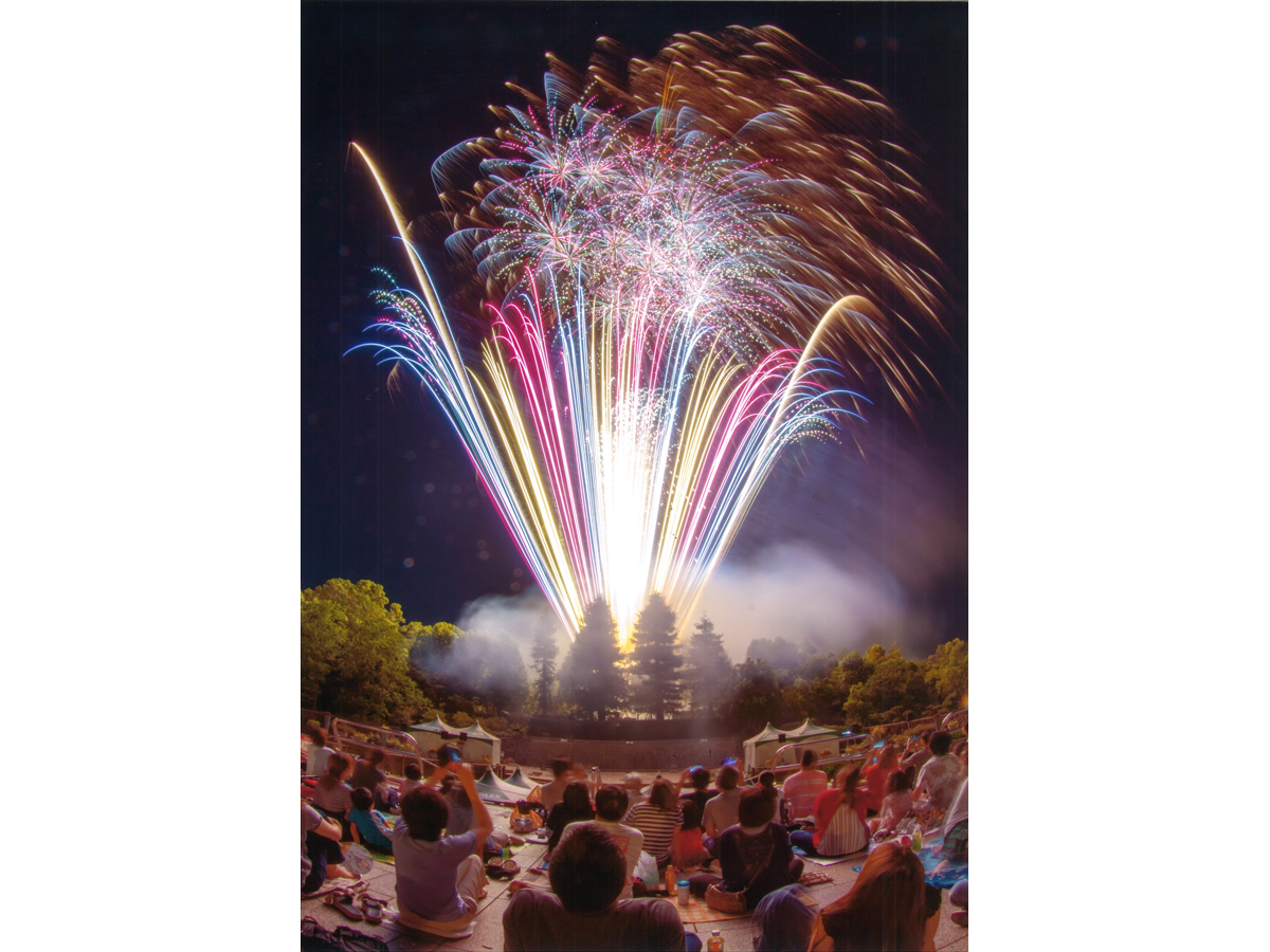 デンパーク,サマーフェスティバル