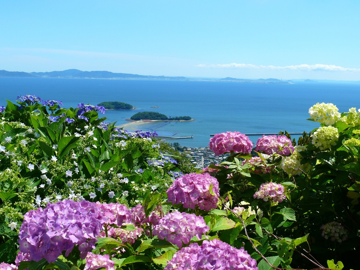 Mt. Sangane Skyline / Mikawa Bay Skyline