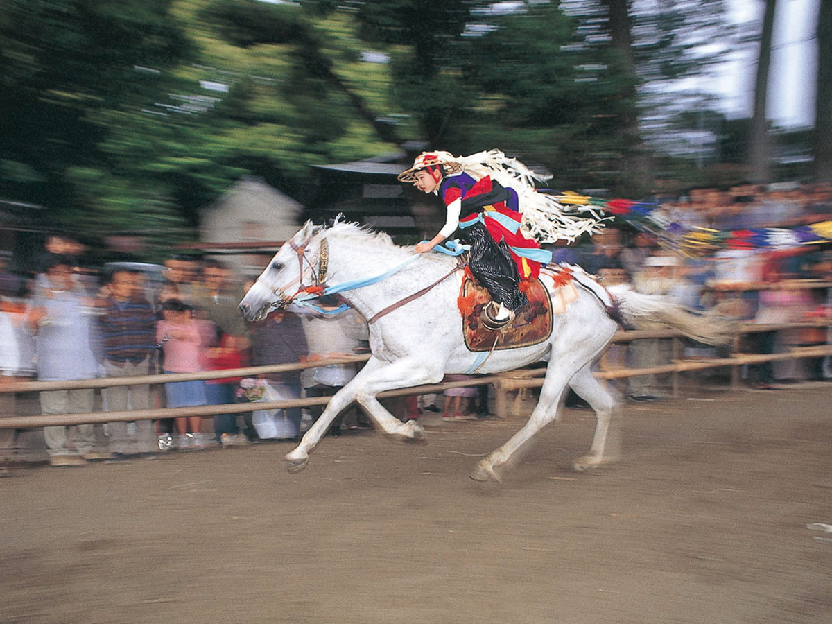 Toga Jinja Shrine Festival