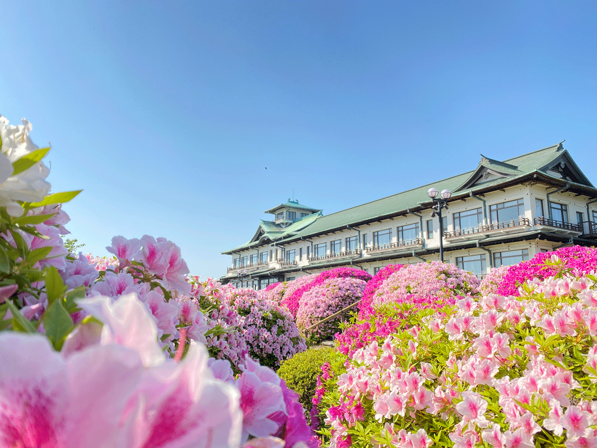 クラシックホテル　つつじ祭り