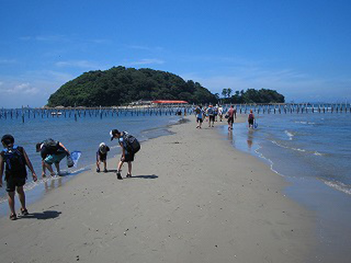 東幡豆のトンボロ干潟