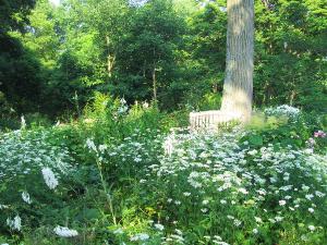 สวนสัตว์และสวนพฤกษศาสตร์โทโยฮาชิ (นงโฮอิปาร์ค)