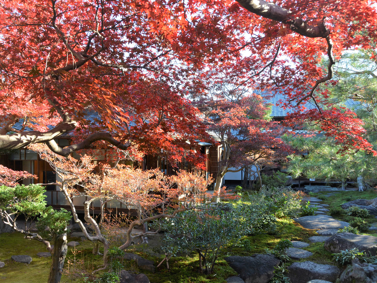 紅葉のおもてなし　もみじまつり