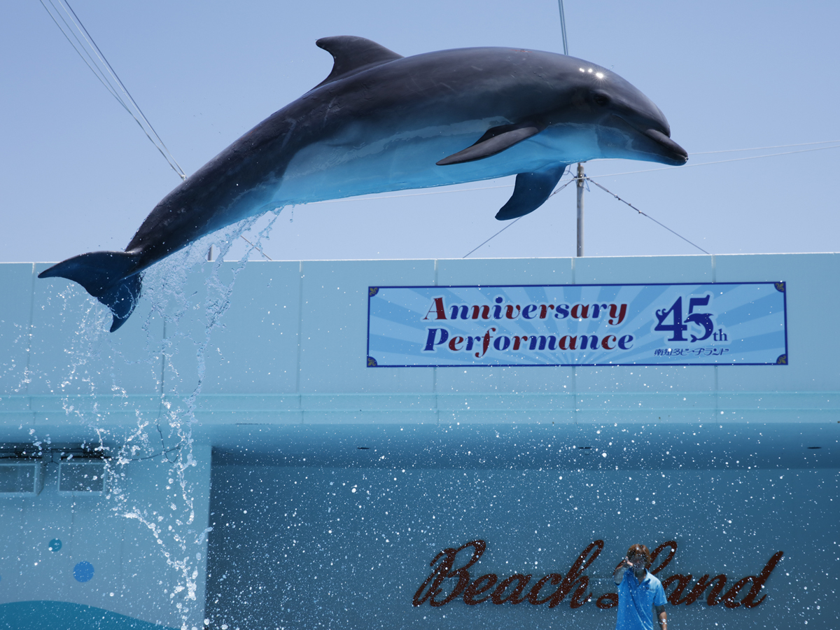 南知多ビーチランド45th　秋のイベント