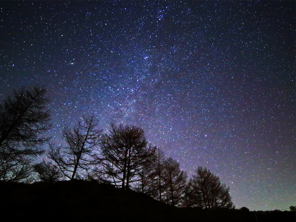 茶臼山高原 星空観察
