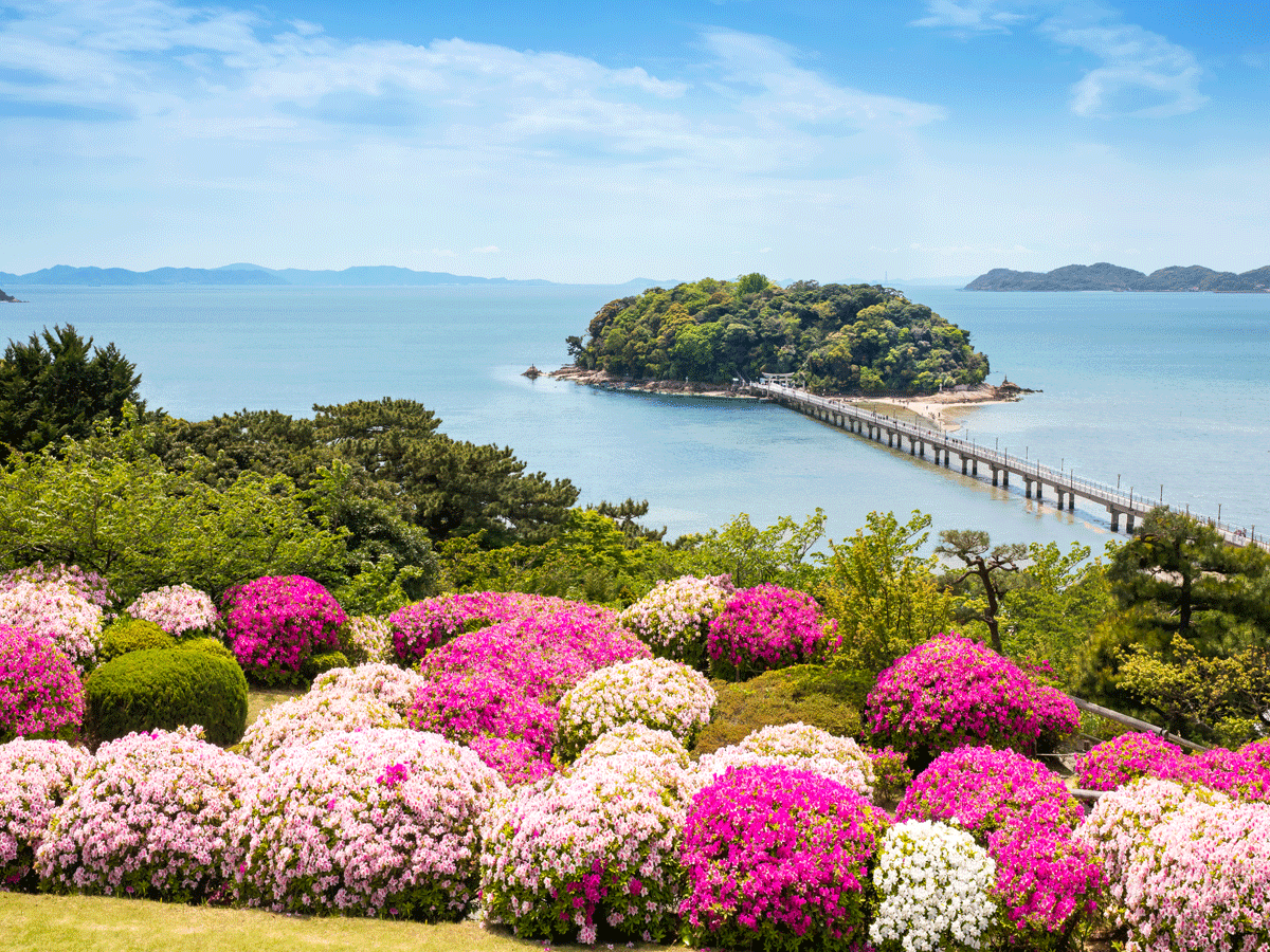 クラシックホテル　つつじ祭り