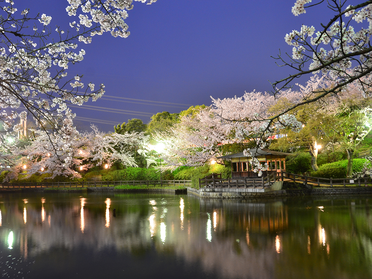 刈谷桜まつり【亀城公園】