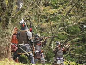 历史之乡 田峯城祭