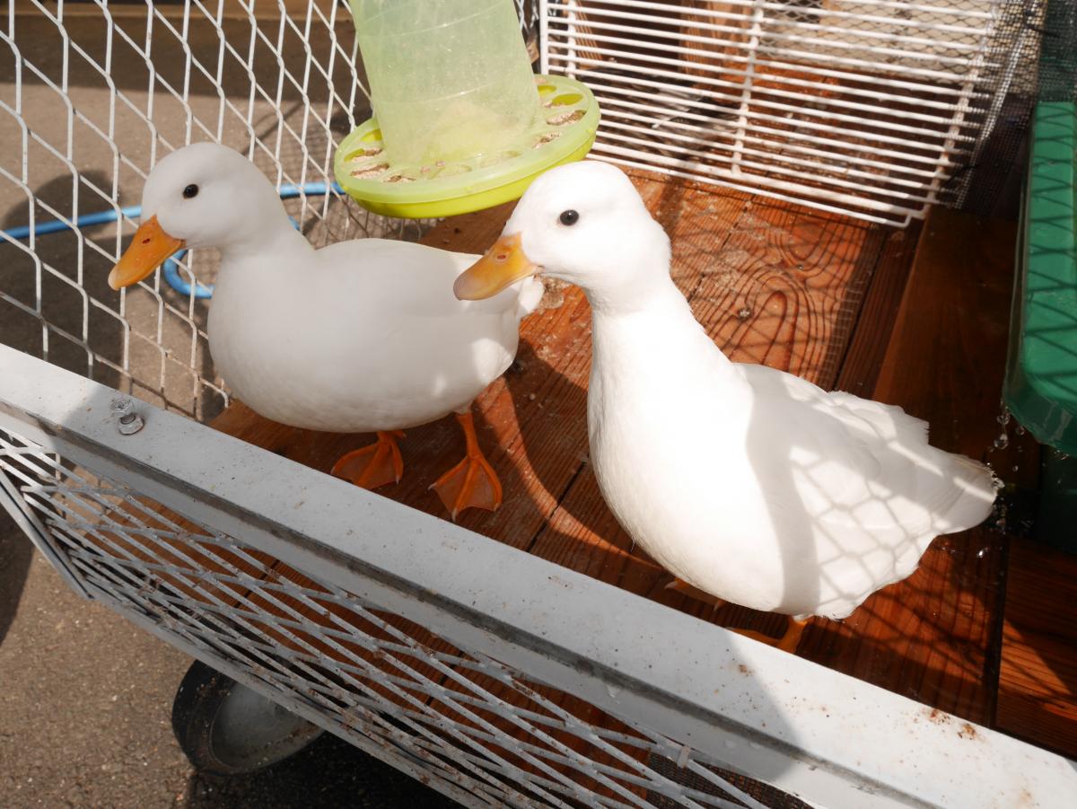 Tsukude Tezukuri Mura Rest Stop