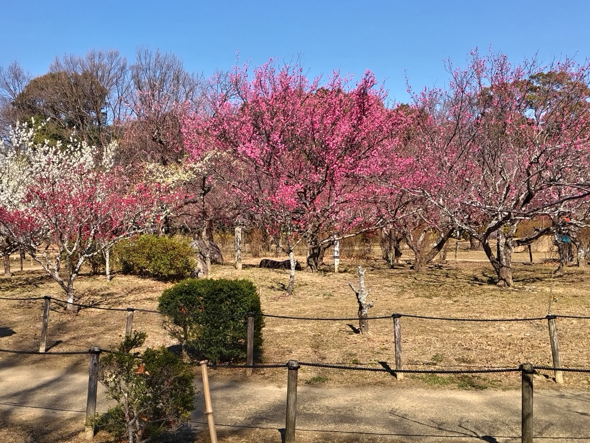 愛環ぶらっとウォーキング