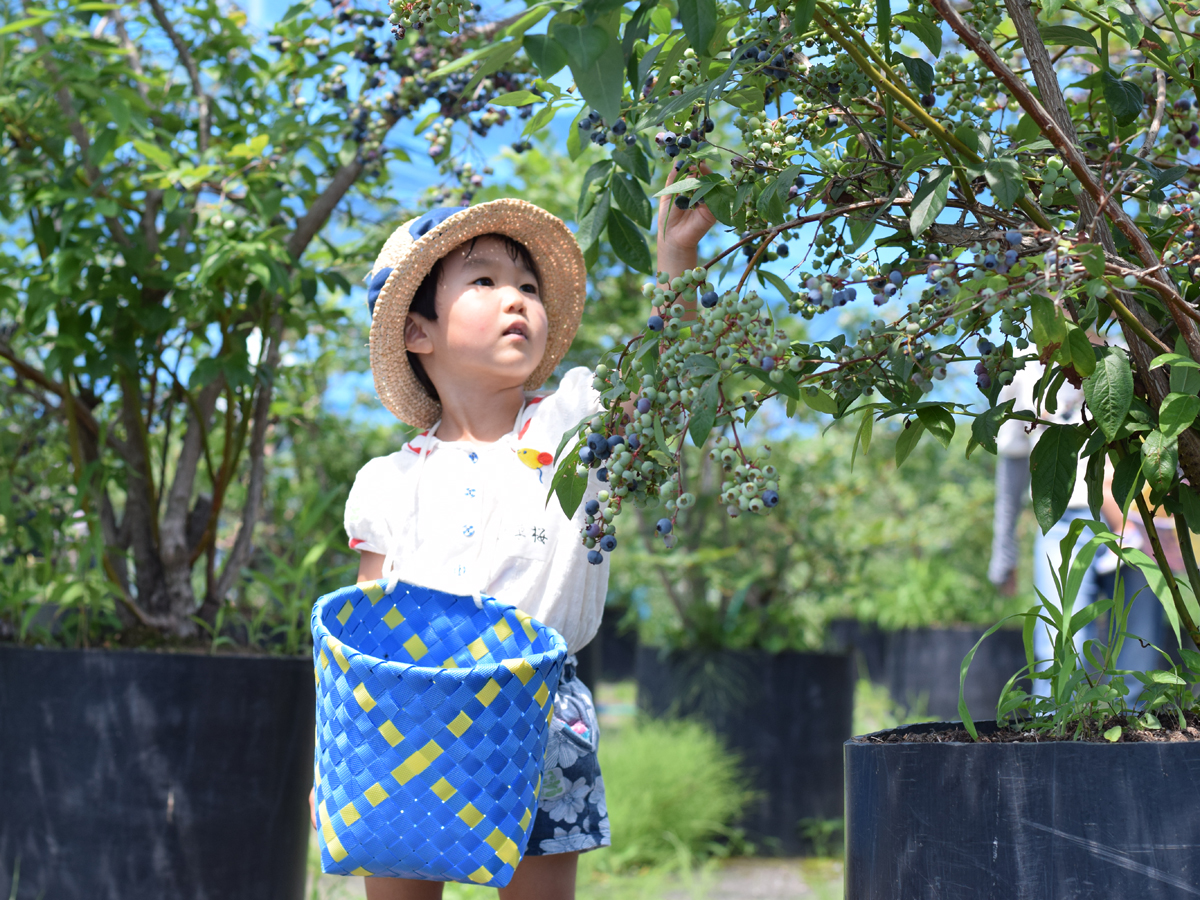 奥三河体験フォトコンテスト