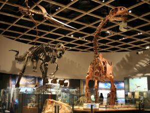 สวนสัตว์และสวนพฤกษศาสตร์โทโยฮาชิ (นงโฮอิปาร์ค)