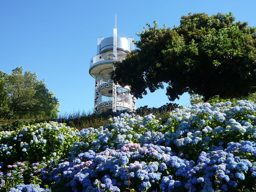 市民四季の森 バラ・アジサイまつり