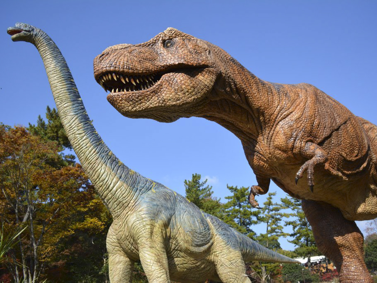 イエヤスタンプラリーin岡崎