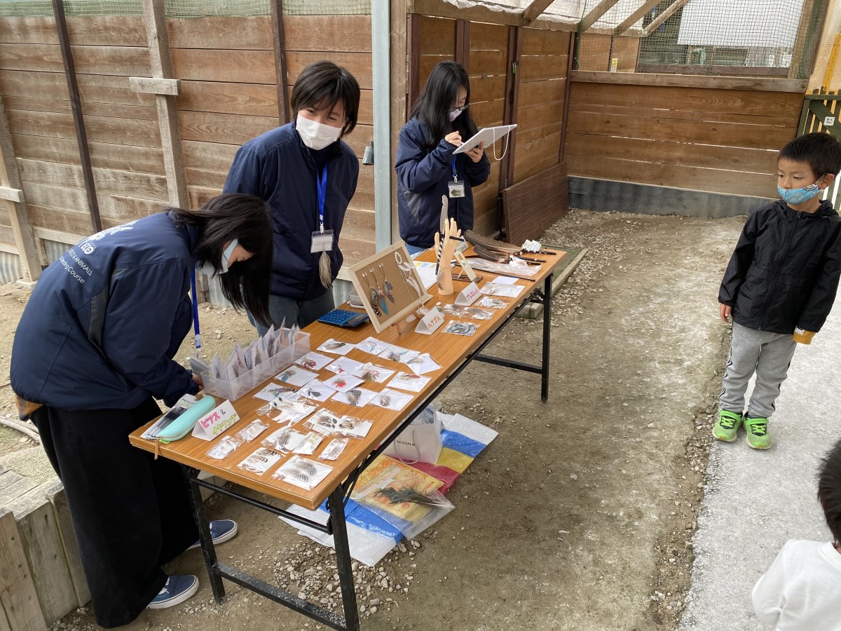 冰雪节 in 爱知牧场