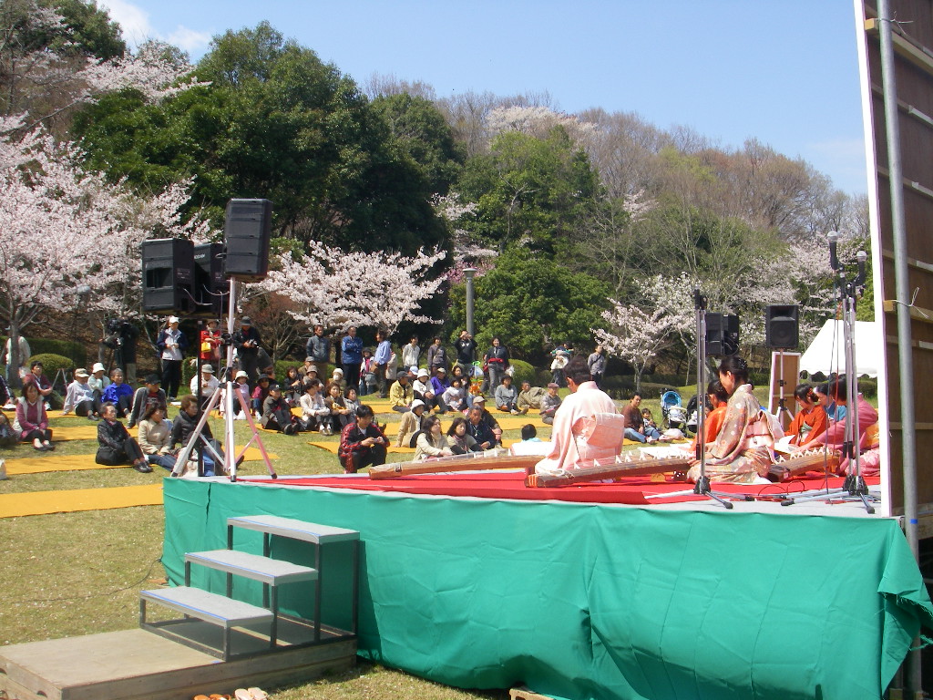 平戸橋桜まつり