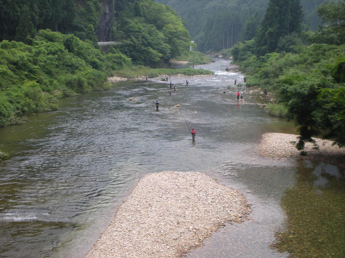 ทสึทะ โนะ ฟูชิ