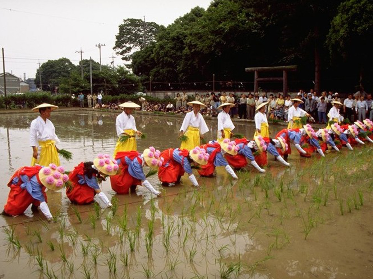 国府宮神社　御田植祭