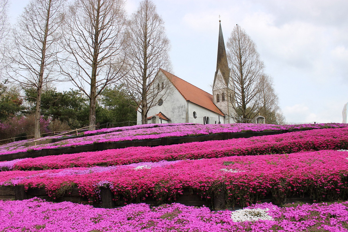 野外民族博物馆小世界
