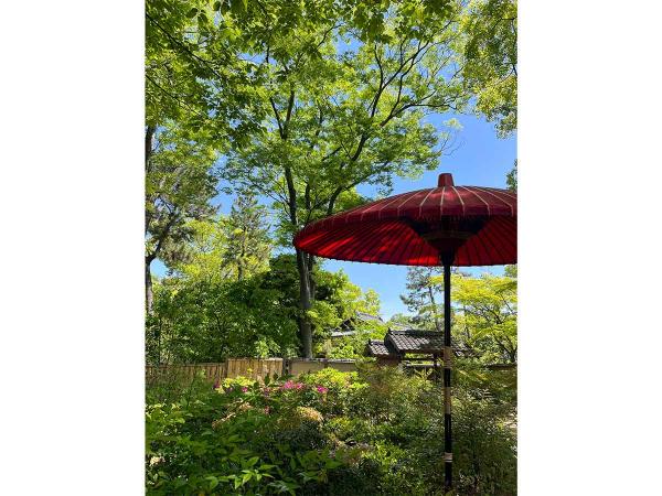 鹤舞公园　花卉节