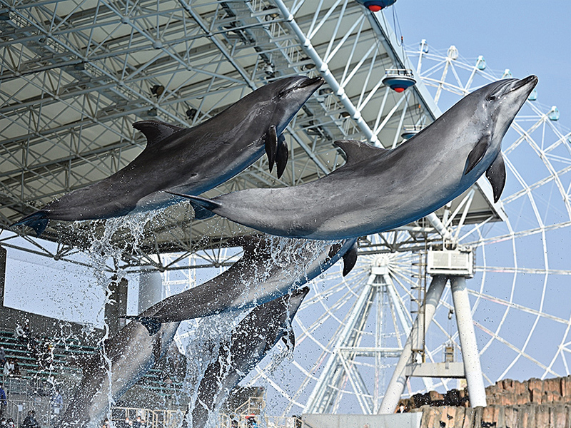 名古屋港水族館